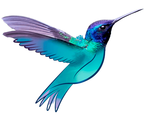 Logo-Vet-Formula-Aquarela_02