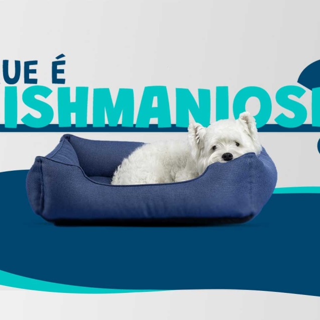 Leishmaniose