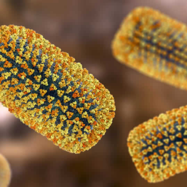 virus_da_raiva_
